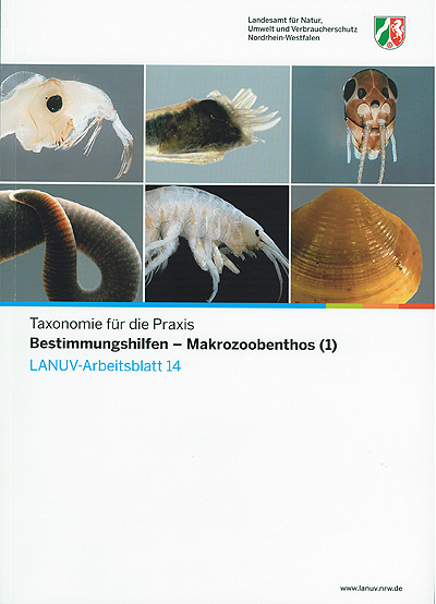 Bestimmungshilfen - Makrozoobenthos (1)
